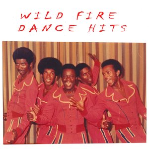 Wild Fire/Dance Hits [LP]